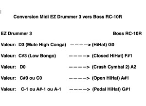 Boss RC-10R Rhythm Loop Station (44511)