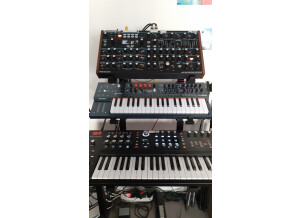 Arturia MiniFreak (24753)