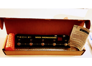 Tech 21 MIDI Mongoose