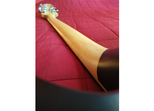 Schecter Robert Smith Ultra Cure (46370)