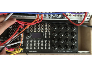 Erica Synths Black Sequencer (24427)