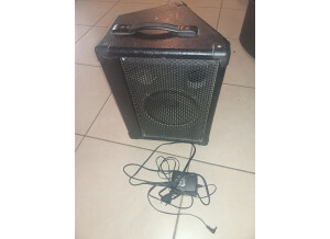 Harley Benton HBAC30 (90681)