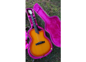 Gibson Chet Atkins SST (36384)