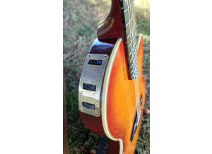 Gibson Chet Atkins SST (92432)