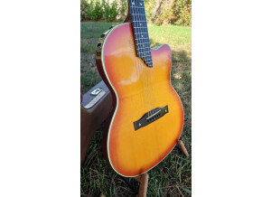 Gibson Chet Atkins SST (48204)