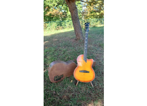 Gibson Chet Atkins SST (92911)