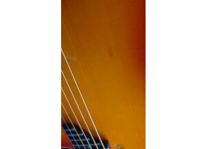 Gibson Chet Atkins SST (57954)