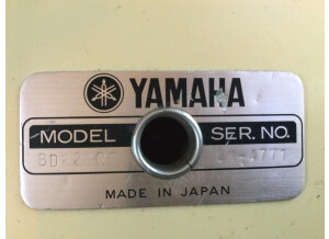 Yamaha Recording Custom