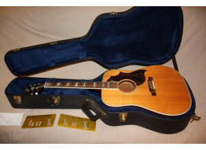 Gibson Sheryl Crow (49974)