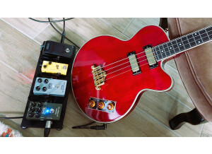 Epiphone Allen Woody Rumblekat Bass (69992)