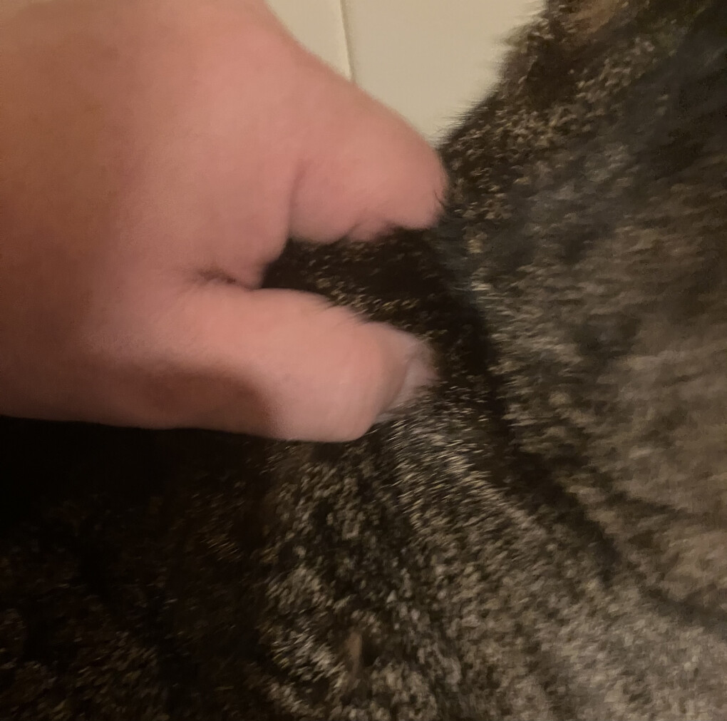 5813959.jpeg 5813959.jpeg