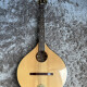 Irish Bouzouki Concert Irish Bouzouki Concert