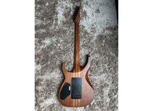 Solar Guitars S1.6ET LTD Poplar Burl (90130)