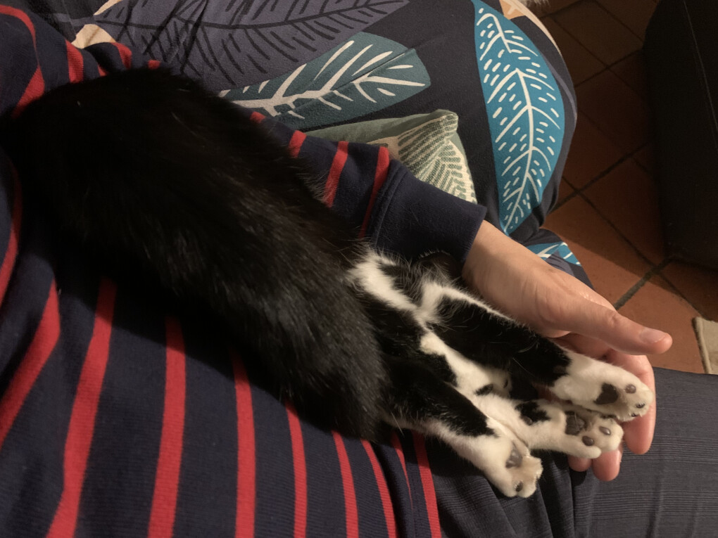 5814104.jpeg 5814104.jpeg