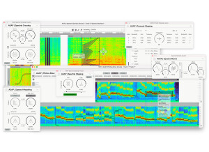 Ircam ASAP