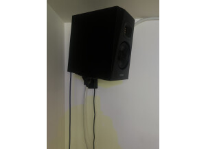 ADAM Audio T5V (77839)