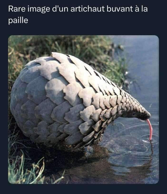 5815695.jpg 5815695.jpg