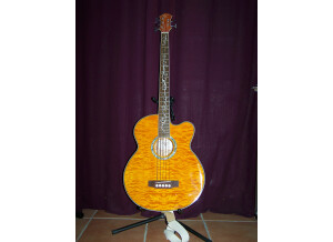 Michael Kelly Guitars Dragonfly 5c (14022)