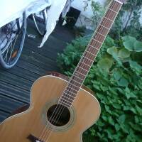 Guitare folk jumbo table massive Whale JS4245-N