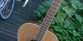 Guitare folk jumbo table massive Whale JS4245-N