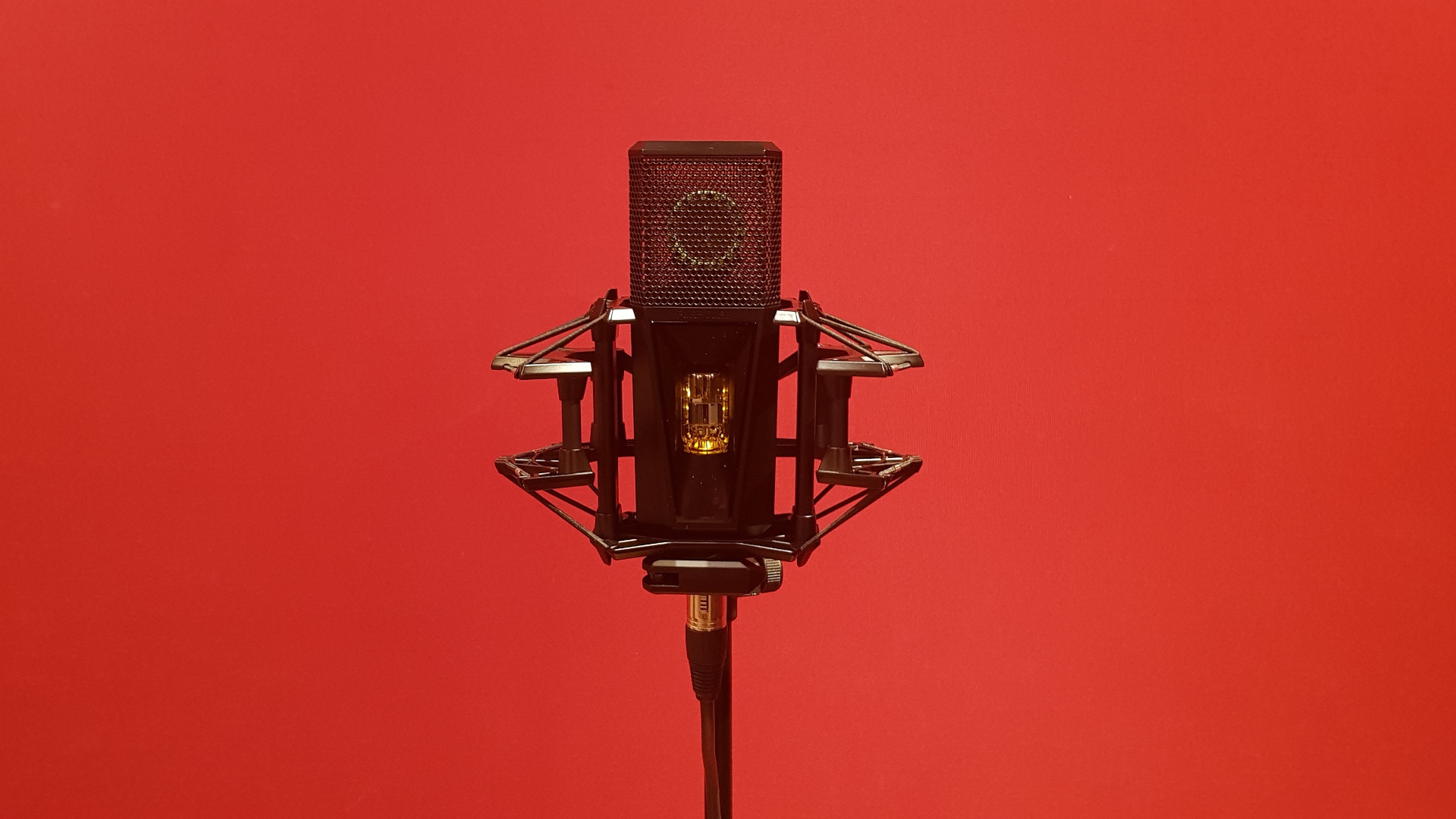 Lewitt Pure Tube : Lewitt Face