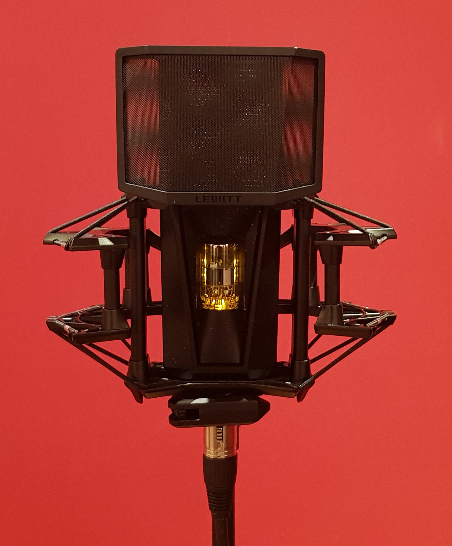 Lewitt Pure Tube : Lewitt Front + Antipop 2