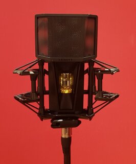 Lewitt Pure Tube : Lewitt Front + Antipop 2 Lewitt Pure Tube : Lewitt Front + Antipop 2