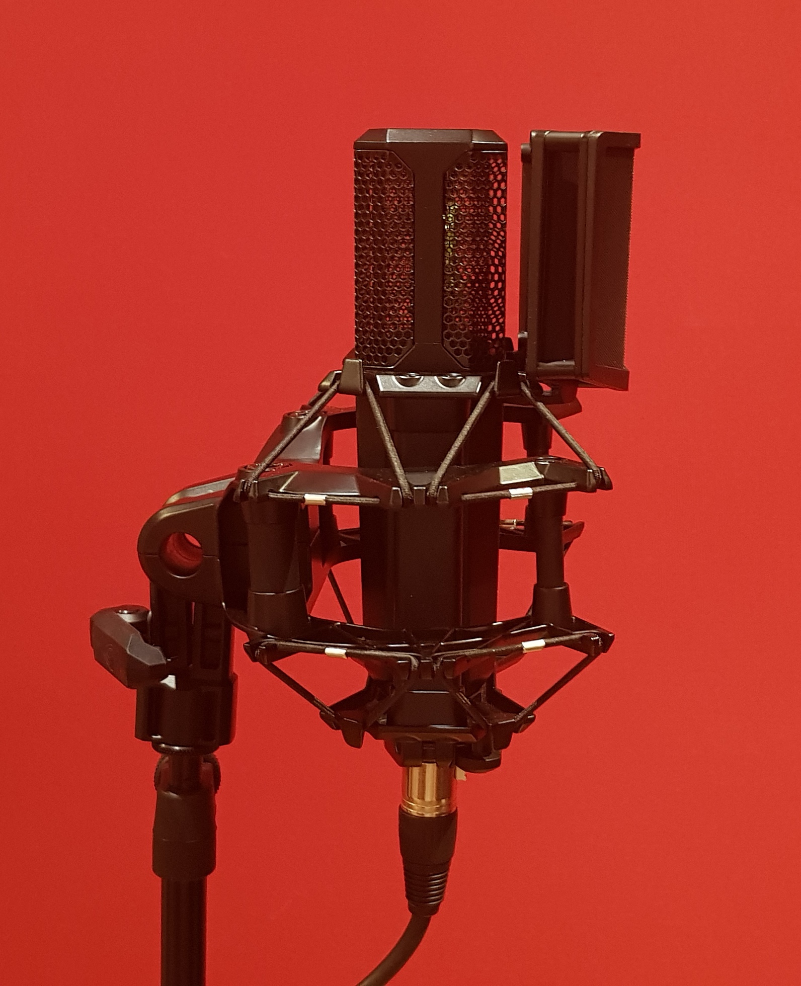 Lewitt Pure Tube : Lewitt Side