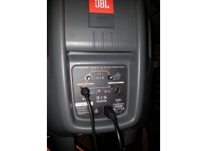 JBL Pro EON 315