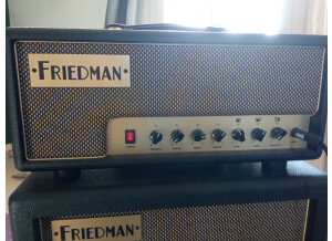 Friedman Amplification Runt 20