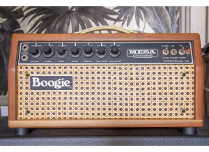 Mesa Boogie Mark IIC+ Head