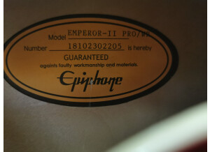 Epiphone Joe Pass Emperor II Pro