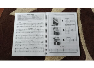 P 20230914 154322 vHDR Auto