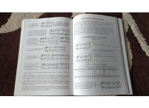 P 20230914 153820 vHDR Auto