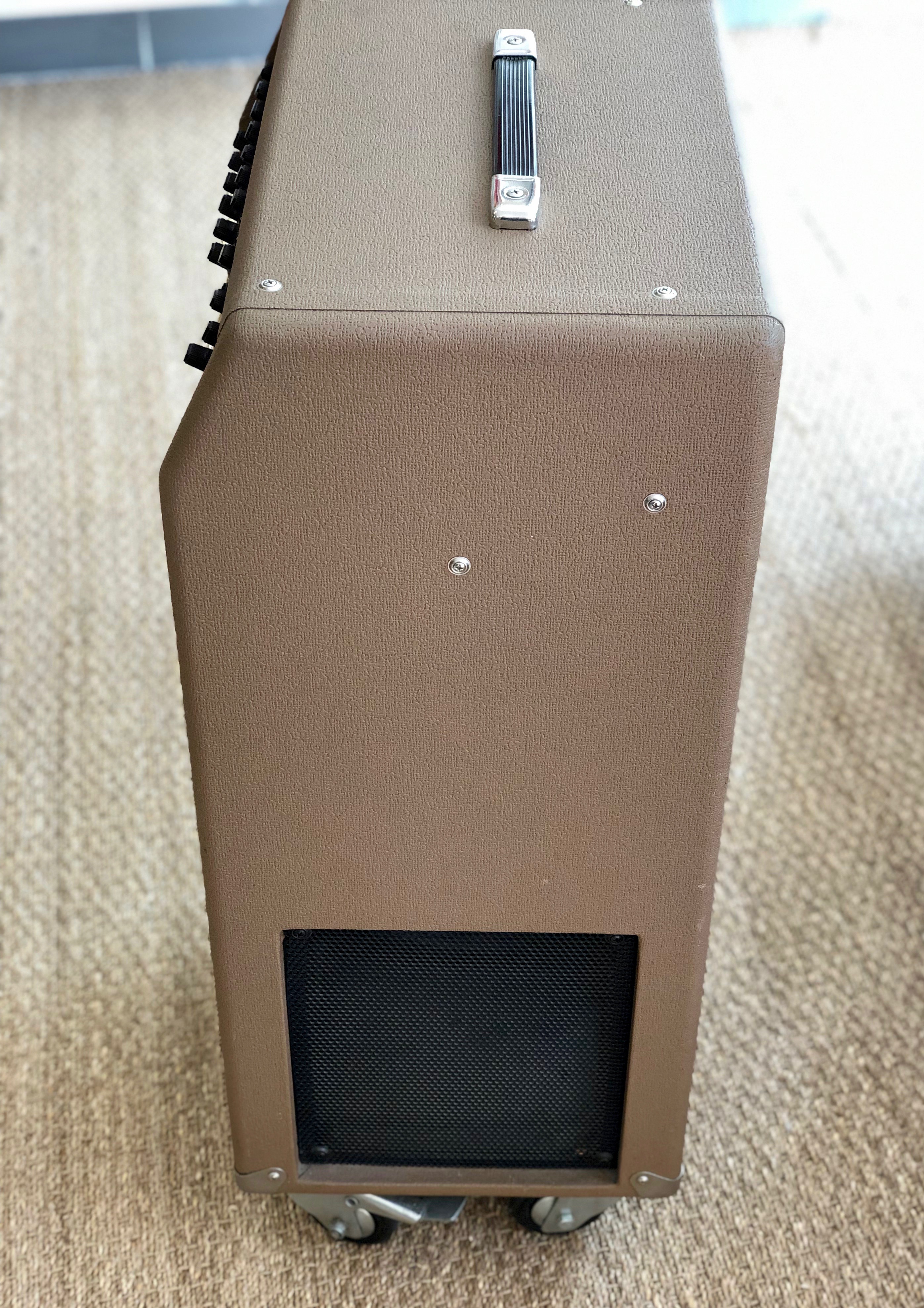 Fender Acoustasonic SFX (10071)