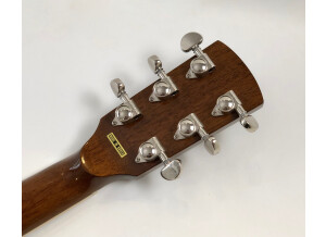 Gold Tone GRS (13917)