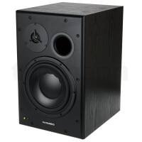 Dynaudio BM15A