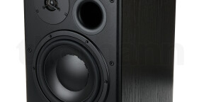 Dynaudio BM15A