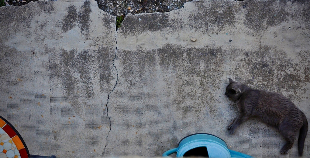 5821022.jpeg 5821022.jpeg