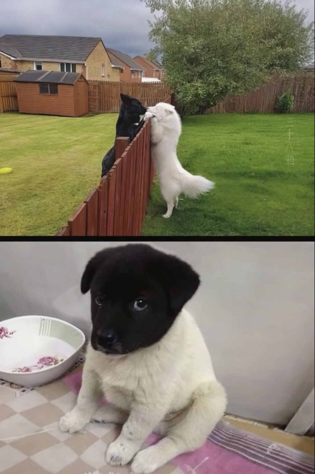 5821279.png 5821279.png