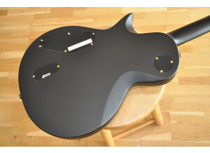 LTD EC-1000 VB (2008) (50918)