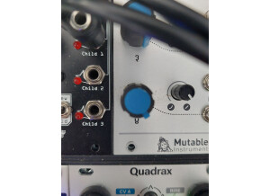 Mutable Instruments Veils