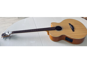 Takamine EG512CG