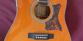 échange guitare epiphone masterbuilt dr-500mce (neuve) contre 600€ en billets (neufs ou froissés)