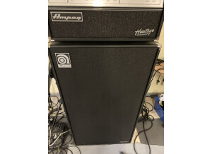 Ampeg SVT-810E Heritage (1499)