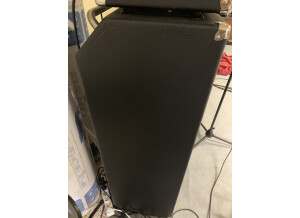 Ampeg SVT-810E Heritage (86967)