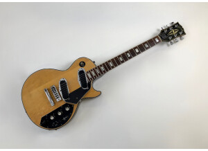 Gibson Les Paul Recording [1971-1980] (85311)