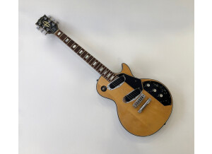 Gibson Les Paul Recording [1971-1980] (93852)