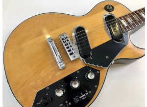 Gibson Les Paul Recording [1971-1980] (42804)