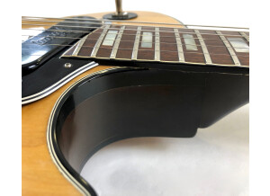 Gibson Les Paul Recording [1971-1980] (99263)
